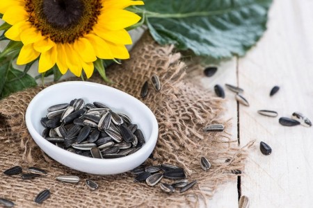 Sunflower Seeds